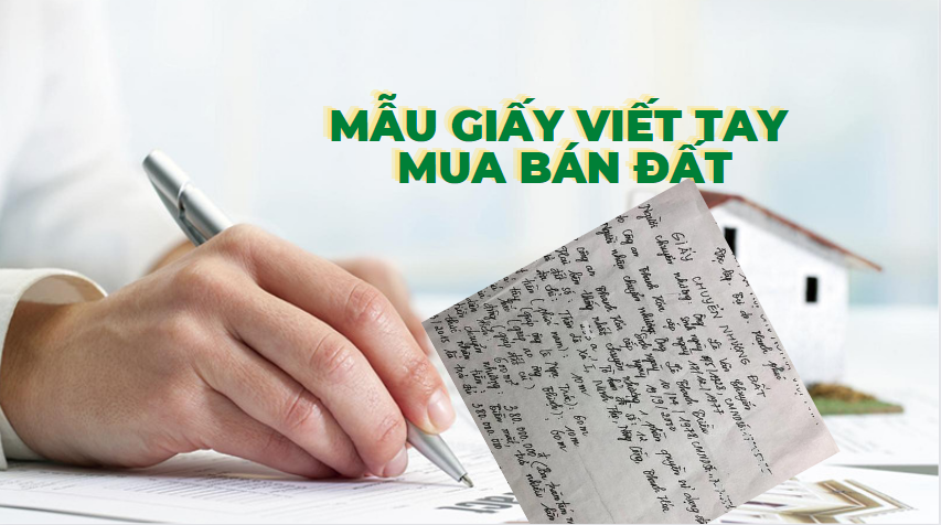 hợp đồng chuyển nhượng đất bằng giấy tay